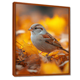 Sparrow Bird In The Autumn Leaves - Bird Canvas Wall Art