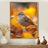Sparrow Bird In The Autumn Leaves - Bird Canvas Wall Art