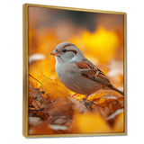Sparrow Bird In The Autumn Leaves - Bird Canvas Wall Art