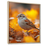 Sparrow Bird In The Autumn Leaves - Bird Canvas Wall Art