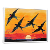 Swallows At Sunset - Bird Wall Decor