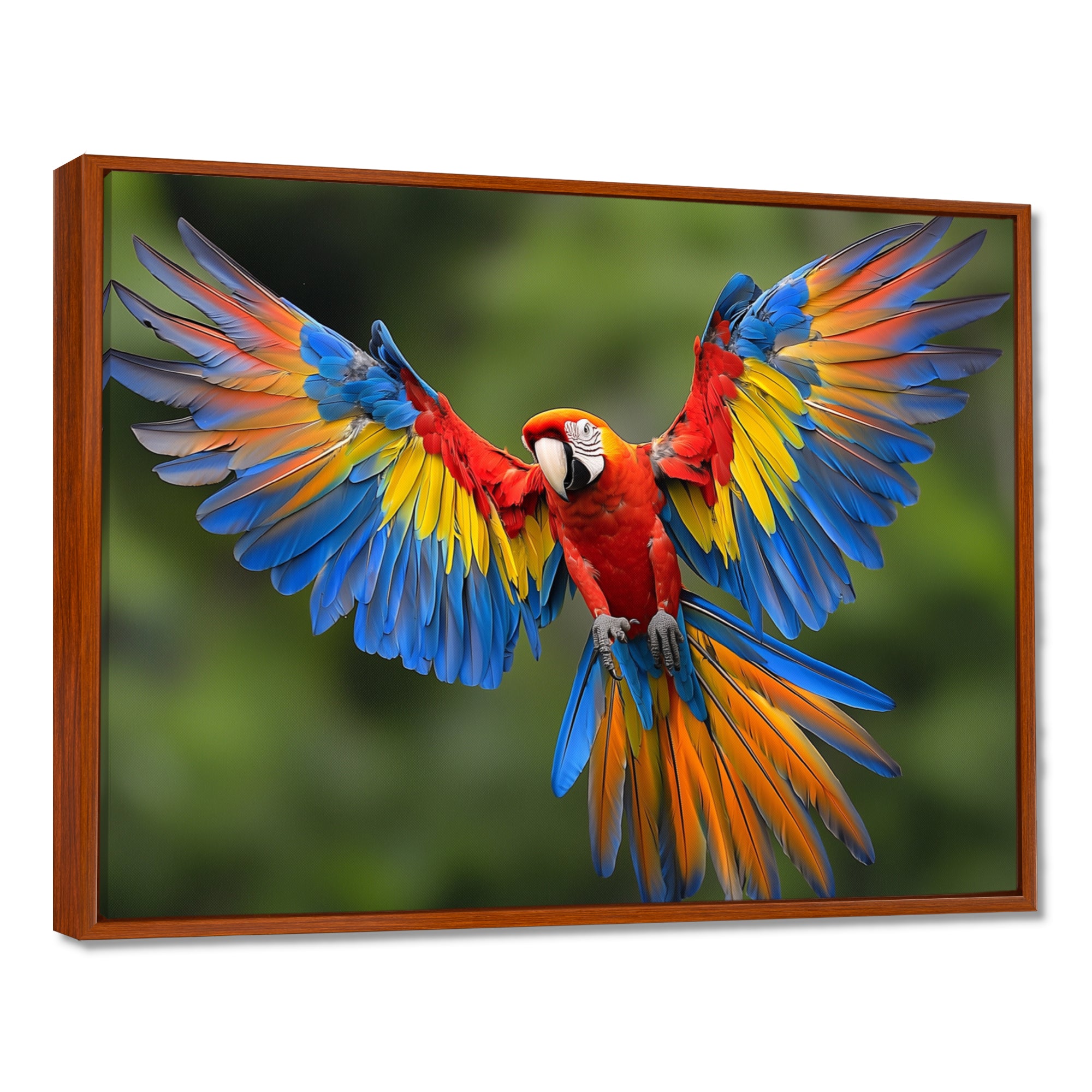 Vibrant Macaw Flying Photo - Bird Large Canvas Wall Art