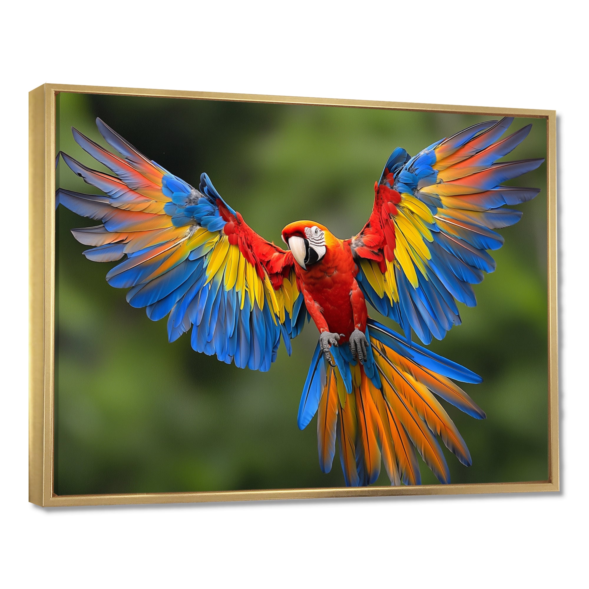 Vibrant Macaw Flying Photo - Bird Large Canvas Wall Art