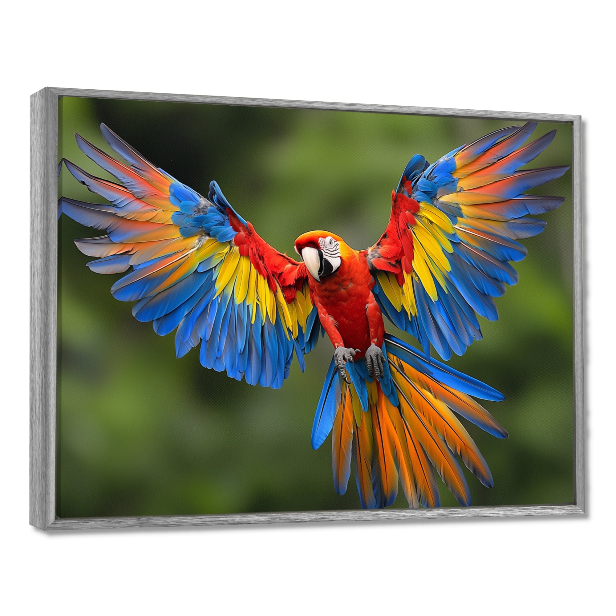 Vibrant Macaw Flying Photo - Bird Large Canvas Wall Art