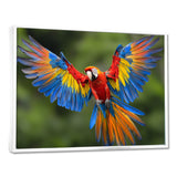 Vibrant Macaw Flying Photo - Bird Large Canvas Wall Art
