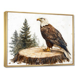 Eagle Silent Vigil In Summer - Eagle Canvas Wall Art