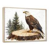 Eagle Silent Vigil In Summer - Eagle Canvas Wall Art