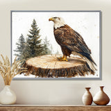Eagle Silent Vigil In Summer - Eagle Canvas Wall Art