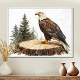 Eagle Silent Vigil In Summer - Eagle Canvas Wall Art