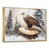 Eagle Silent Vigil In Winter - Brown Eagle Wall Art