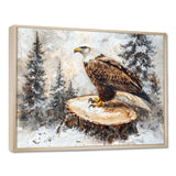 Eagle Silent Vigil In Winter - Brown Eagle Wall Art