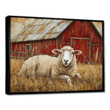 Sheep By The Old Red Farm - Sheep Wall Art Prints