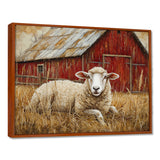 Sheep By The Old Red Farm - Sheep Wall Art Prints