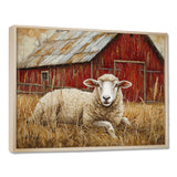 Sheep By The Old Red Farm - Sheep Wall Art Prints
