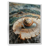 Snail At The Mountain On Slide - Brown Snail Wall Art