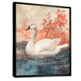 Swan Reflections Of Elegance - Swans Wall Art Prints