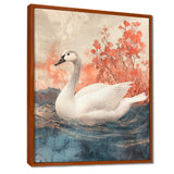 Swan Reflections Of Elegance - Swans Wall Art Prints