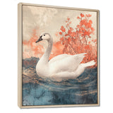 Swan Reflections Of Elegance - Swans Wall Art Prints