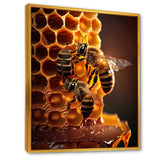 Honey Bees In Nest - Bee Canvas Wall Art