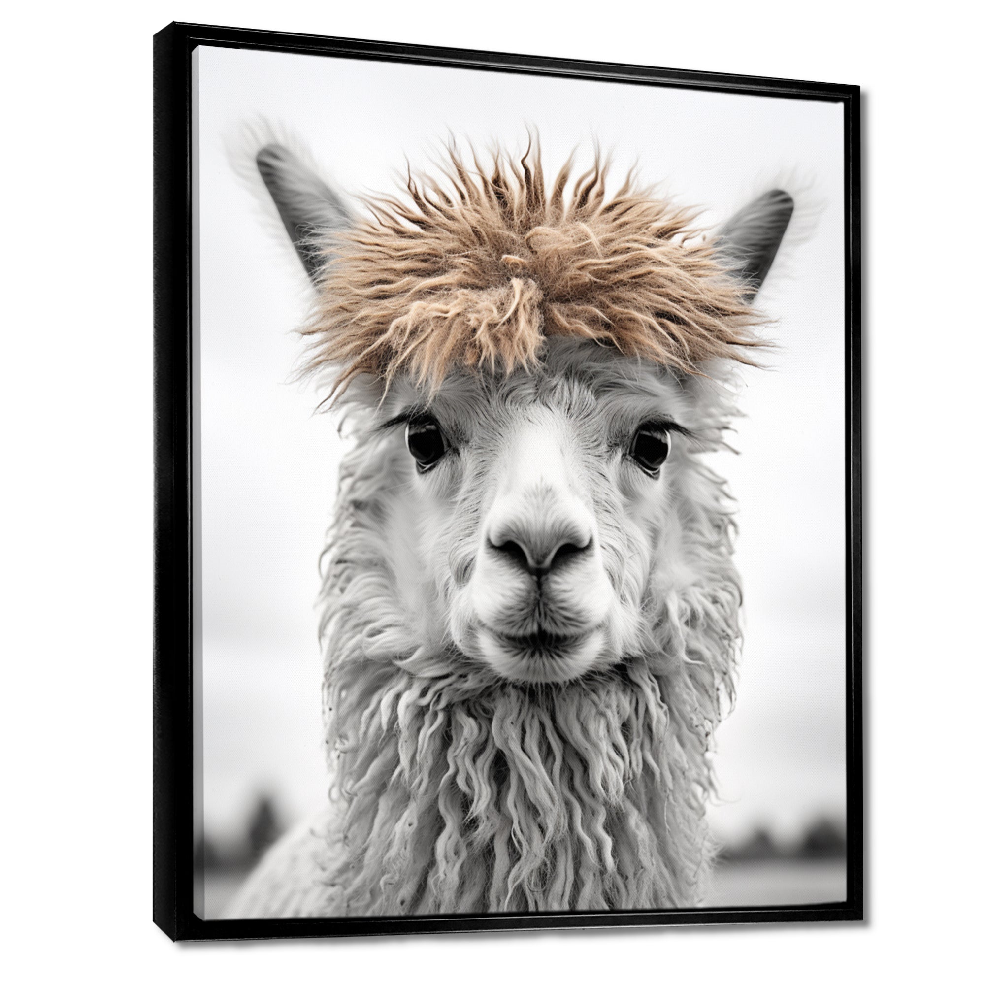 Curious Alpaca - Beige Alpaca Wall Art