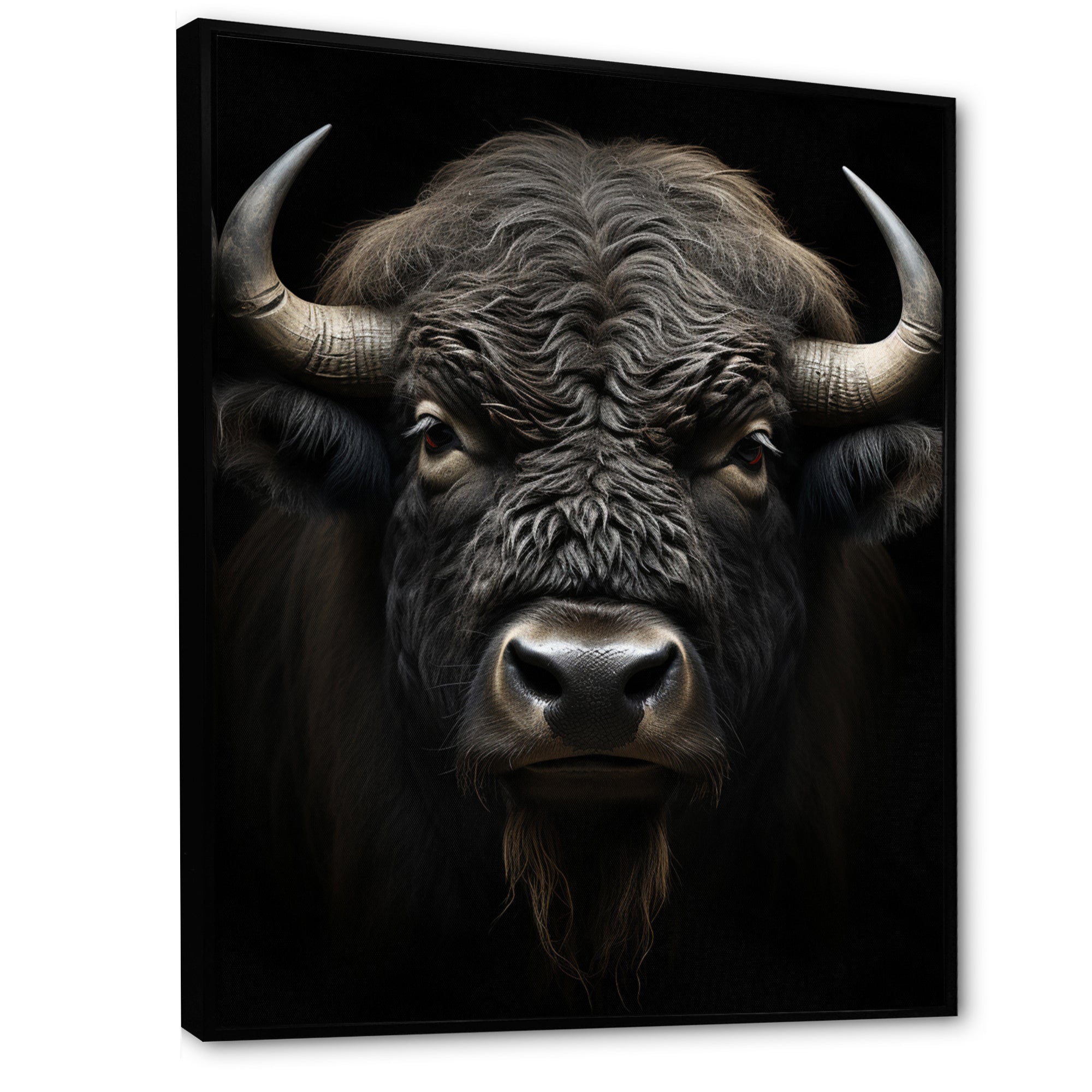 Black White Animal Buffalo Bison - Buffalo Wall Art Prints