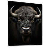 Black White Animal Buffalo Bison - Buffalo Wall Art Prints