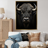 Black White Animal Buffalo Bison - Buffalo Wall Art Prints