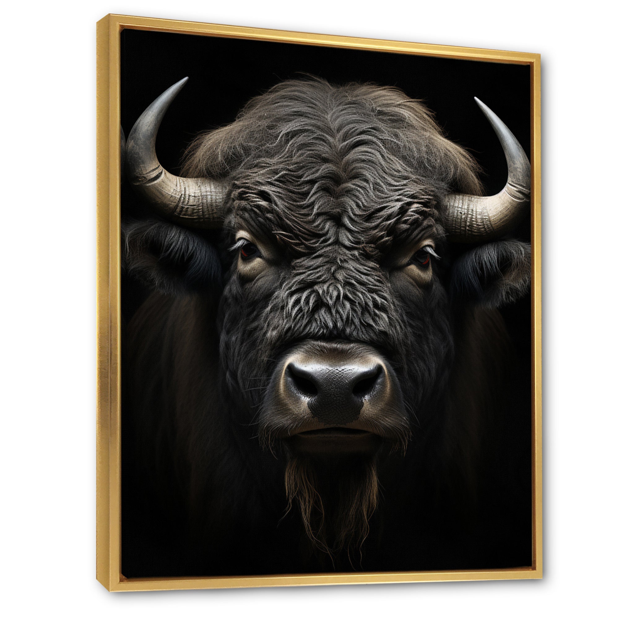 Black White Animal Buffalo Bison - Buffalo Wall Art Prints