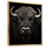 Black White Animal Buffalo Bison - Buffalo Wall Art Prints