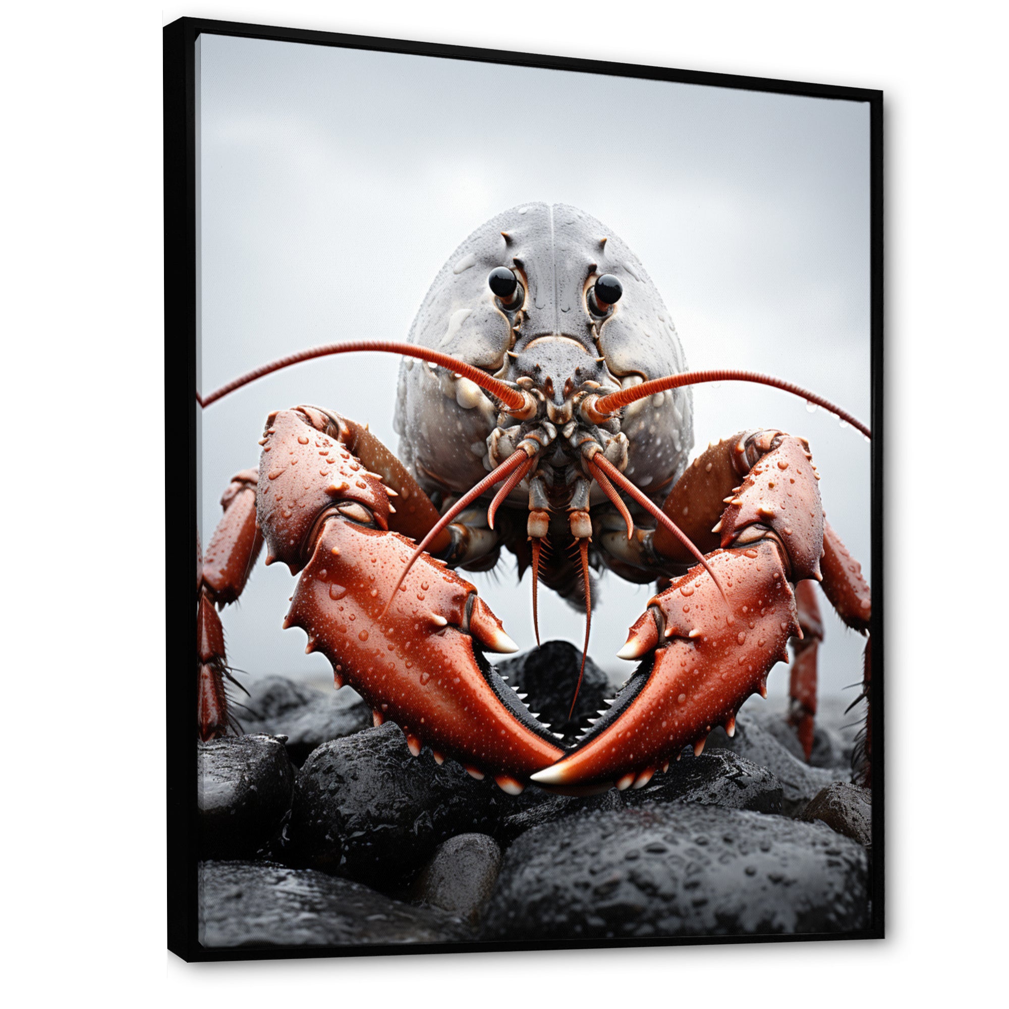 Coral Grey Animal Lobster - Lobster Wall Decor