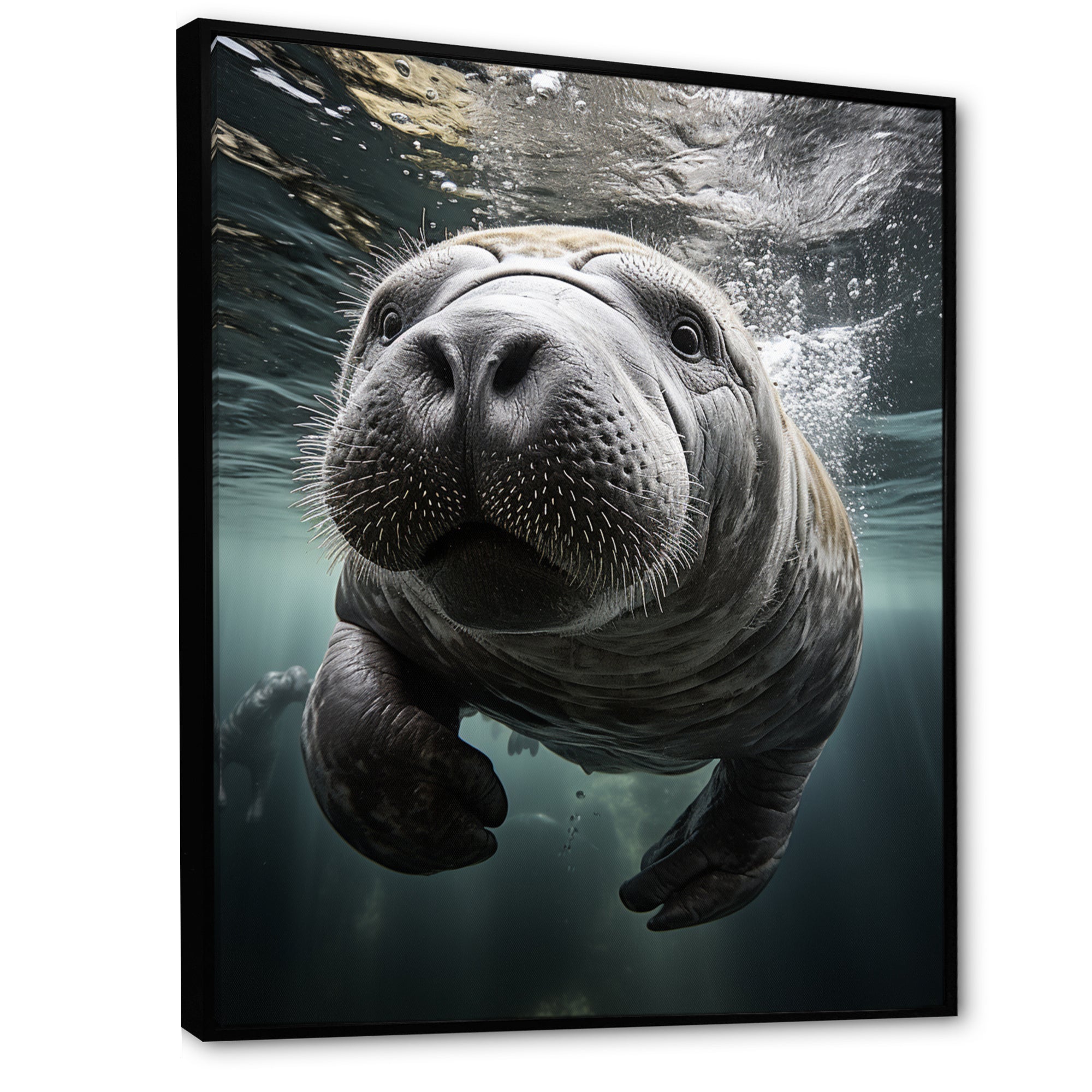 Grey Teal Animal Manatee - Manatee Wall Art Prints