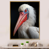 Coral White Animal Pelican Portrait - Pelican Wall Art Prints
