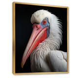 Coral White Animal Pelican Portrait - Pelican Wall Art Prints