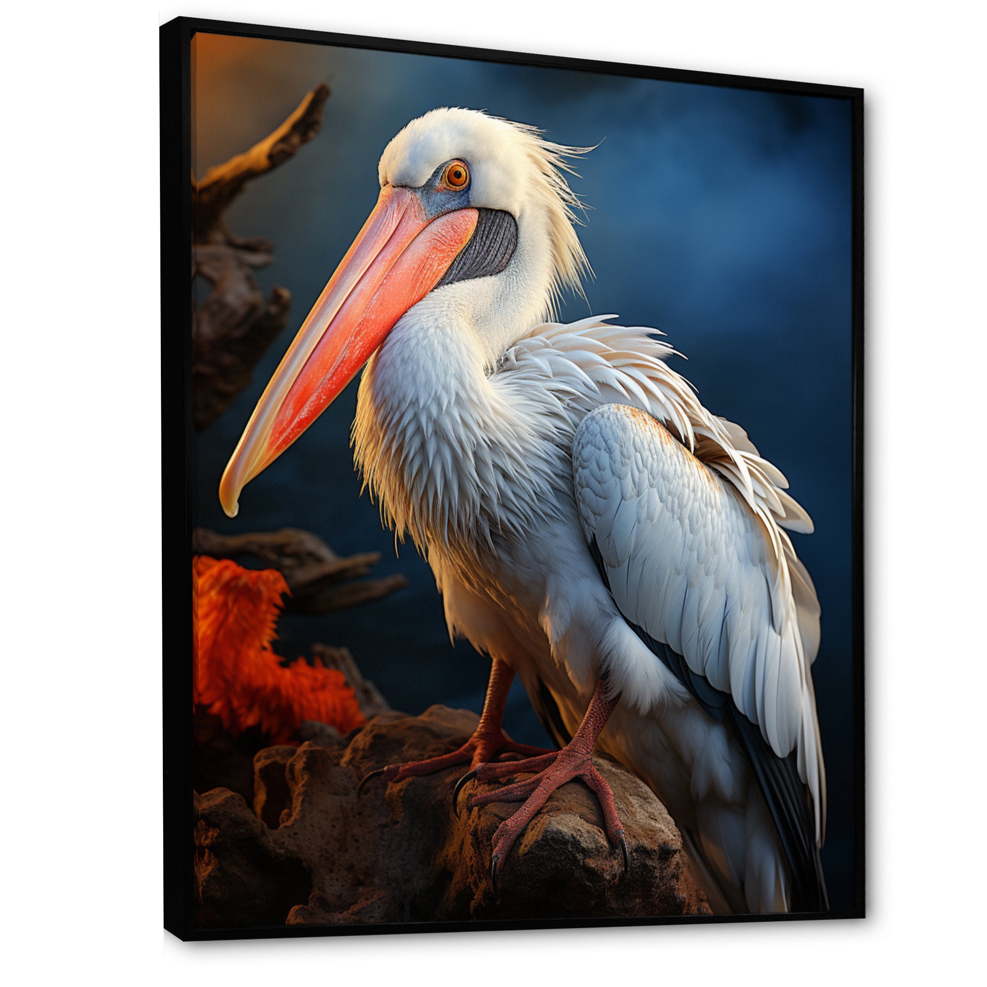 Coral White Animal Pelican - Pelican Wall Art Prints