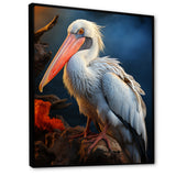 Coral White Animal Pelican - Pelican Wall Art Prints