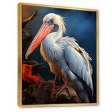 Coral White Animal Pelican - Pelican Wall Art Prints