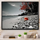 Grey Red Beach Seashell Symphony - Seashell Canvas Wall Art