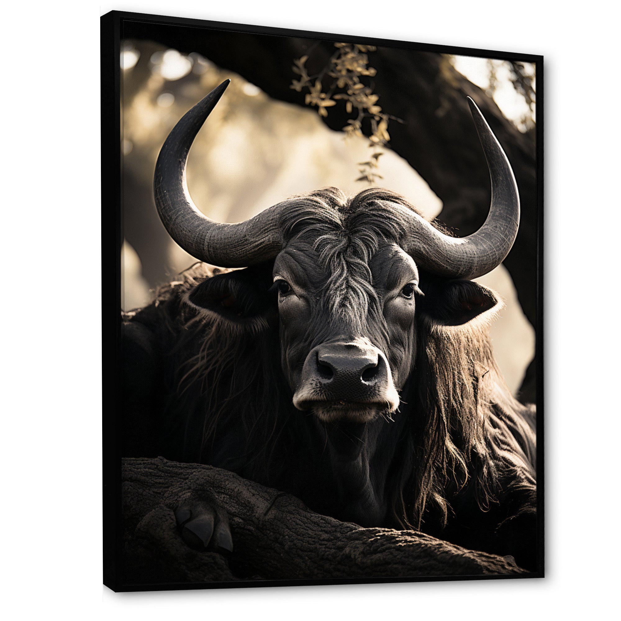 Grey Buffalo Serenity In Shadows - Gray Buffalo Wall Art