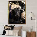 Grey Buffalo Serenity In Shadows - Gray Buffalo Wall Art
