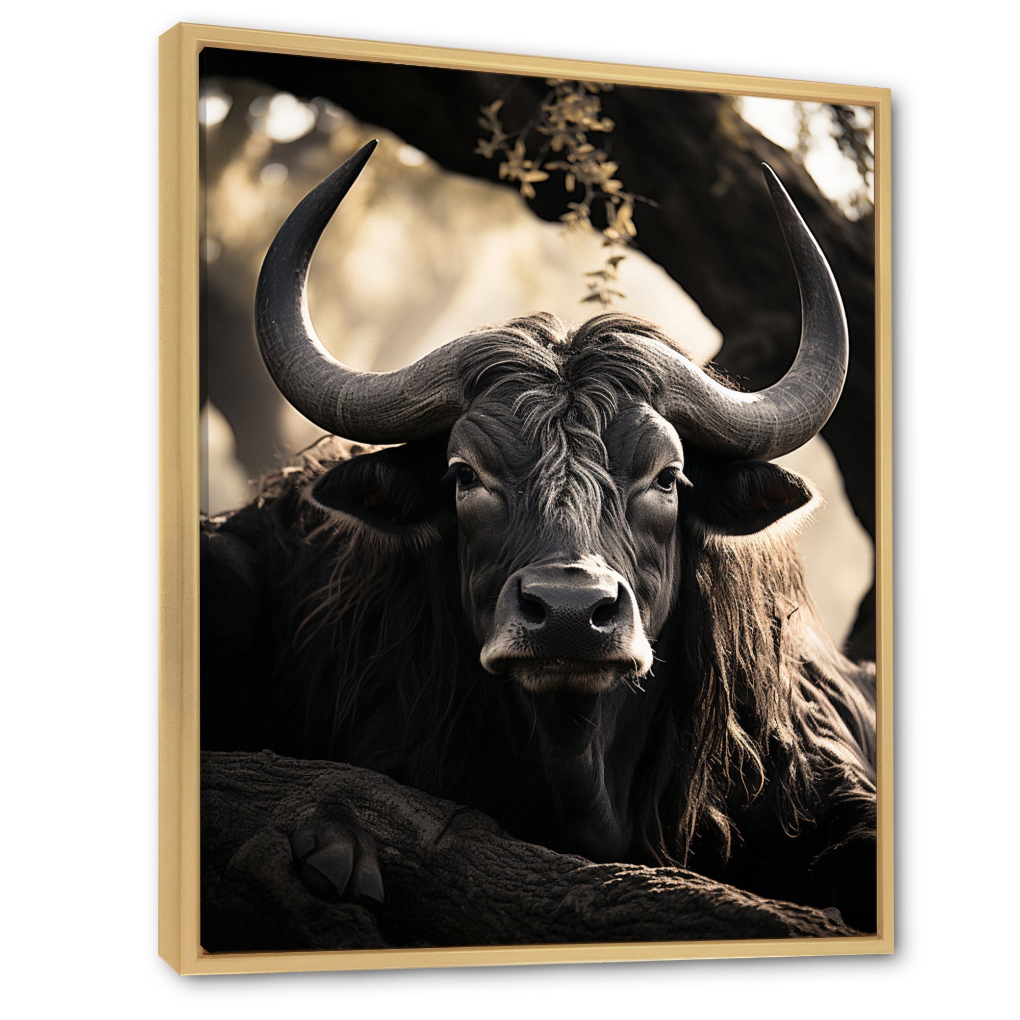 Grey Buffalo Serenity In Shadows - Gray Buffalo Wall Art