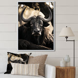 Grey Buffalo Serenity In Shadows - Gray Buffalo Wall Art