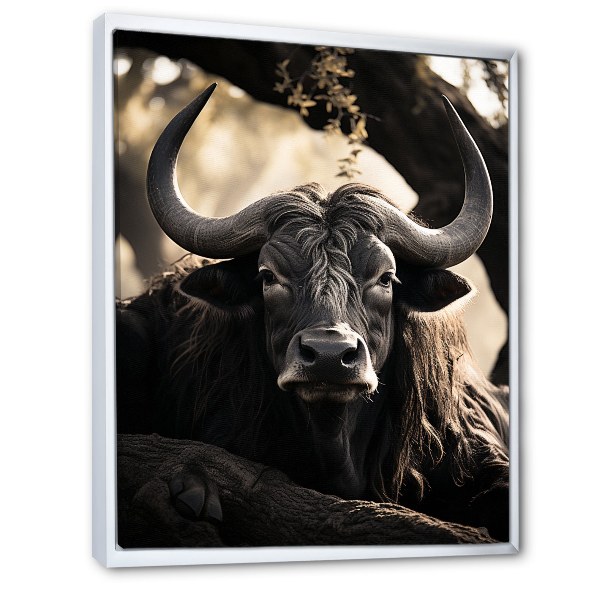 Grey Buffalo Serenity In Shadows - Gray Buffalo Wall Art