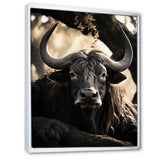 Grey Buffalo Serenity In Shadows - Gray Buffalo Wall Art