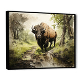 Brown Green Buffalo Shadows Of Serenity - Buffalo Large Canvas Wall Art