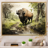 Brown Green Buffalo Shadows Of Serenity - Buffalo Large Canvas Wall Art