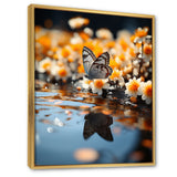 Orange Butterfly Floating Wonder - Butterfly Wall Art Prints