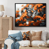 Coral Black Butterfly Fluttering Grace - Coral Butterfly Wall Art