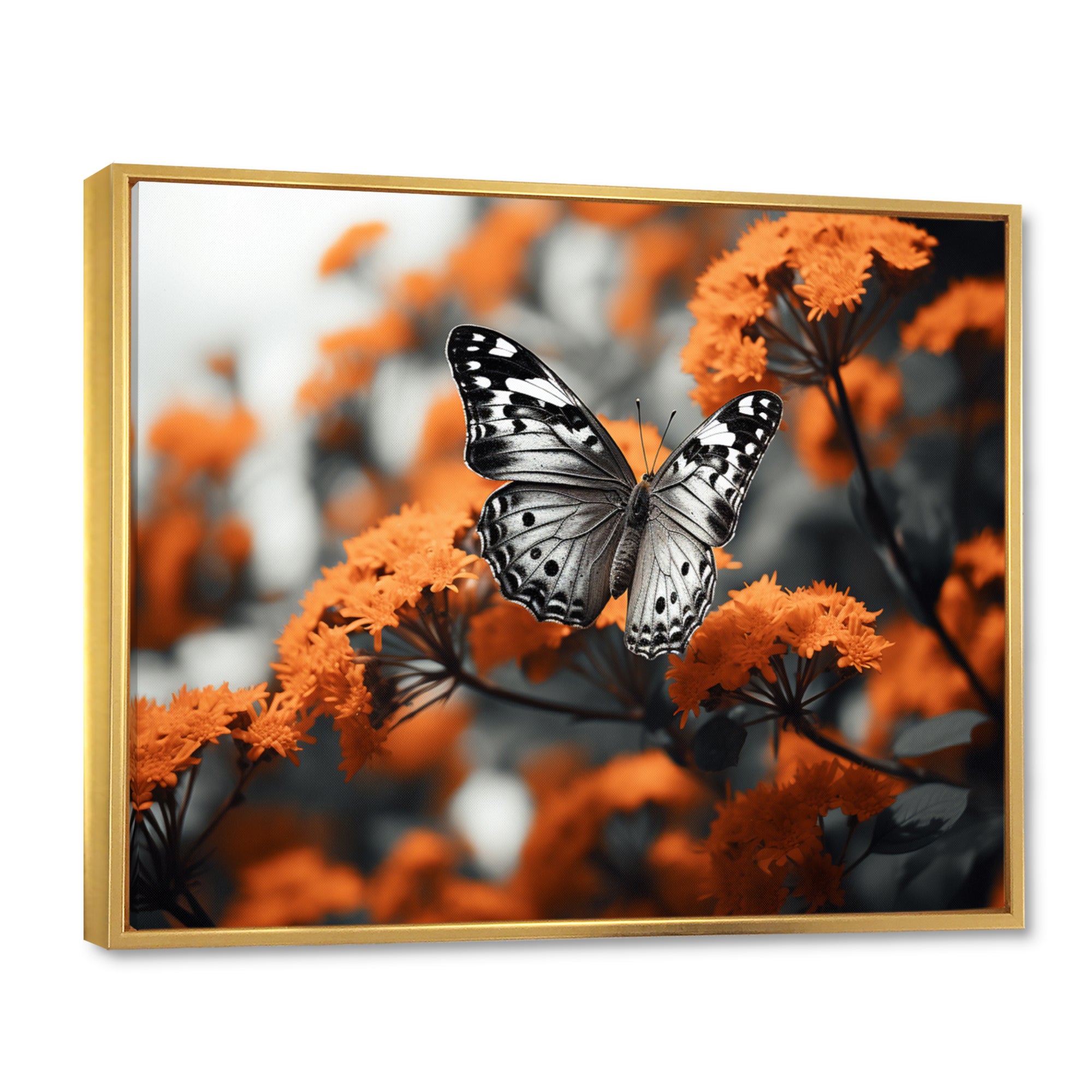 Coral Black Butterfly Fluttering Grace - Coral Butterfly Wall Art