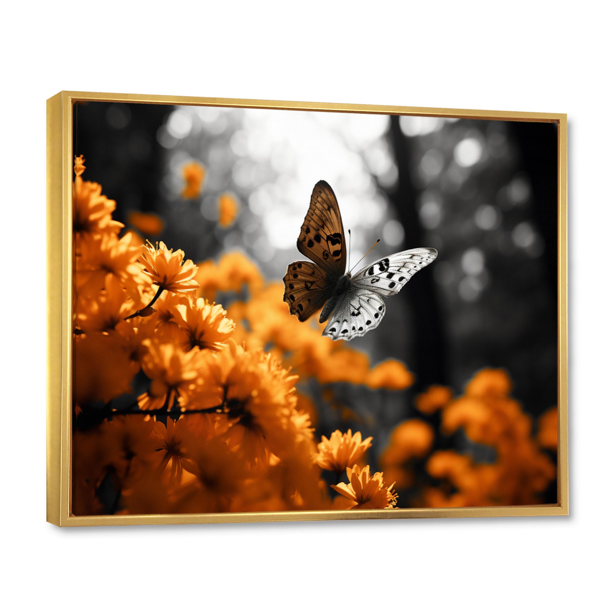 Orange Grey Butterfly Fluttering Grace - Orange Butterfly Wall Art