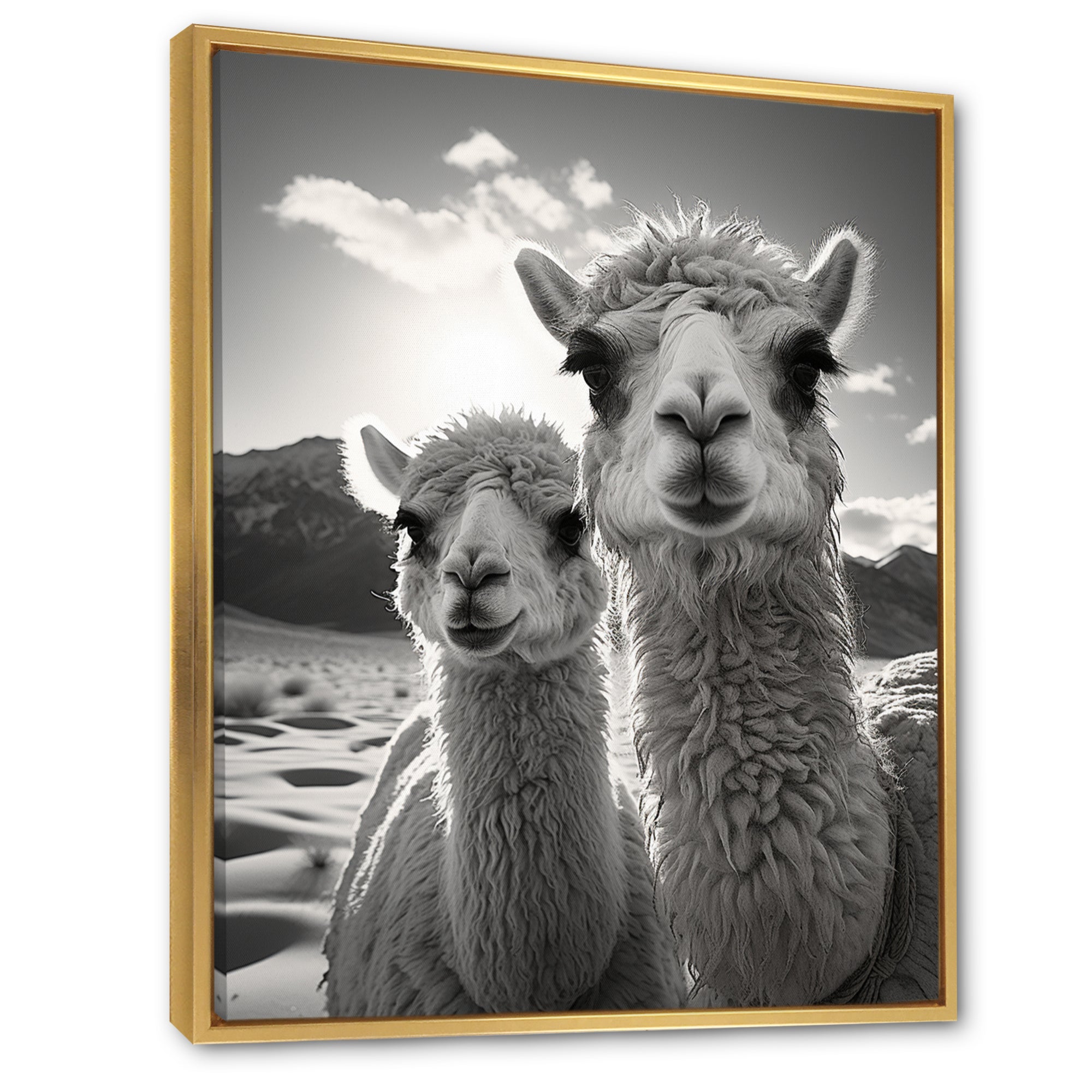 Camel Harmony In Monochrome - Camel Large Canvas Wall Art